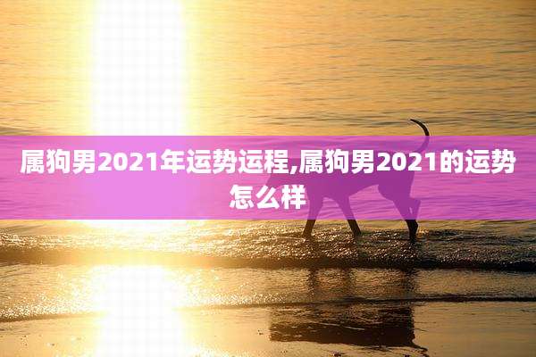 属狗男2021年运势运程,属狗男2021的运势怎么样