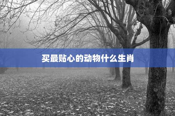 买最贴心的动物什么生肖
