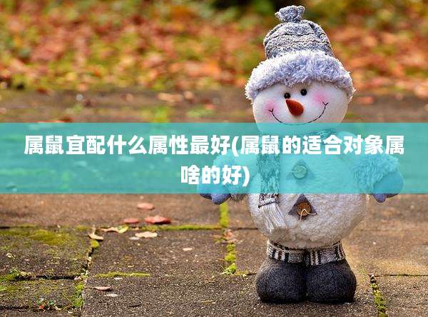 属鼠宜配什么属性最好(属鼠的适合对象属啥的好)