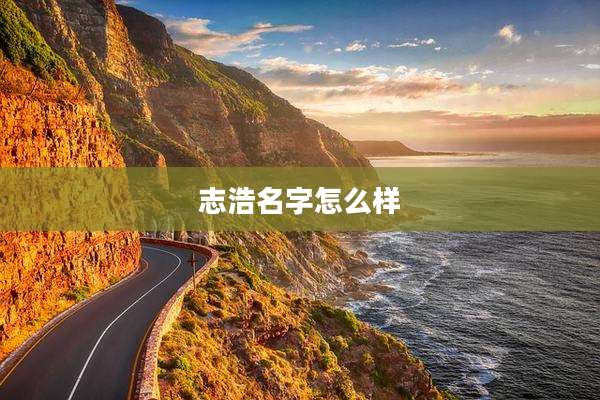志浩名字怎么样