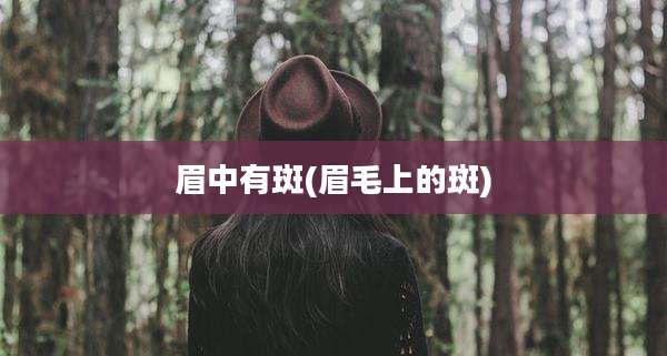 眉中有斑(眉毛上的斑)