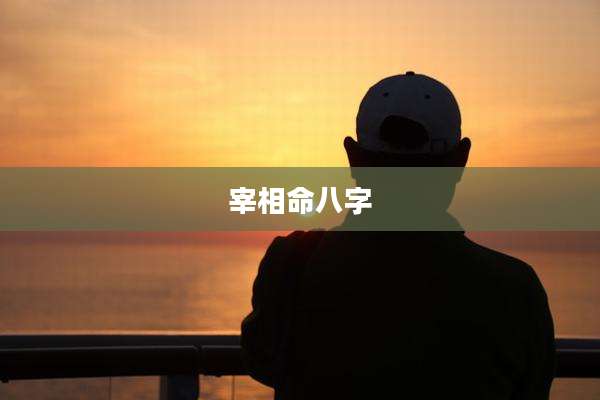 宰相命八字