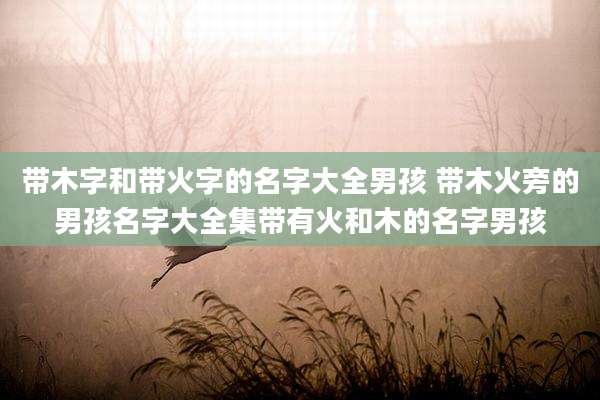 带木字和带火字的名字大全男孩 带木火旁的男孩名字大全集带有火和木的名字男孩
