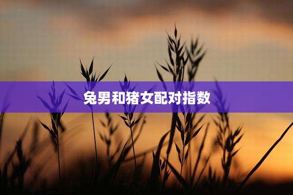 兔男和猪女配对指数