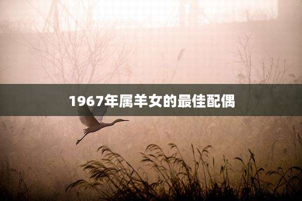 1967年属羊女的最佳配偶
