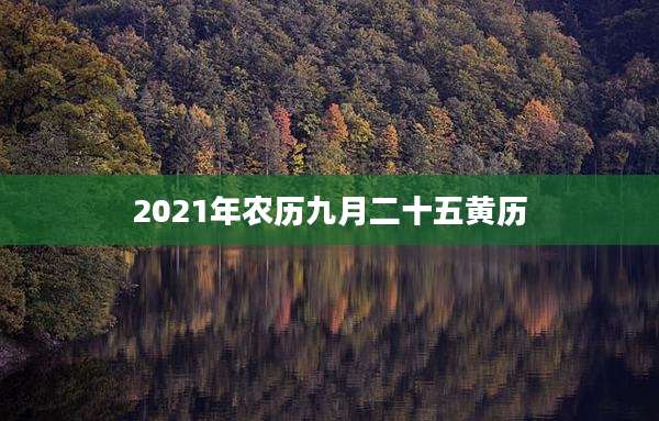 2021年农历九月二十五黄历