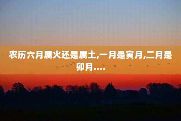 农历六月属火还是属土,一月是寅月,二月是卯月....