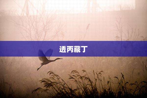 透丙藏丁
