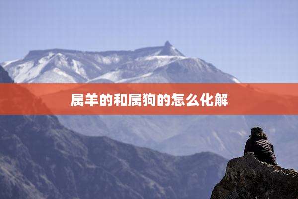 属羊的和属狗的怎么化解