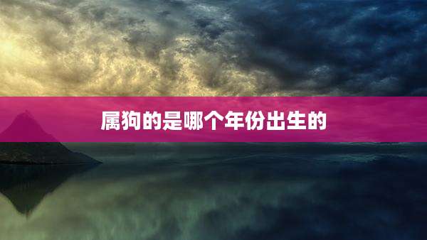 属狗的是哪个年份出生的