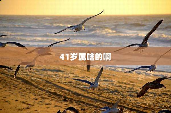 41岁属啥的啊