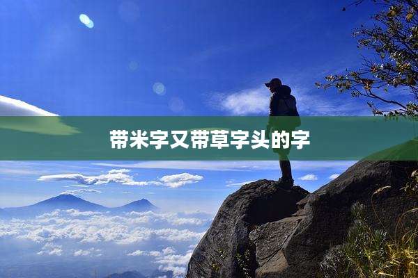 带米字又带草字头的字