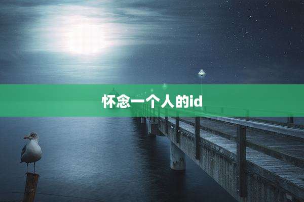 怀念一个人的id