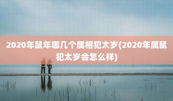 2020年鼠年哪几个属相犯太岁(2020年属鼠犯太岁会怎么样)