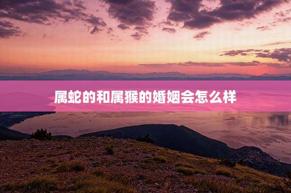 属蛇的和属猴的婚姻会怎么样