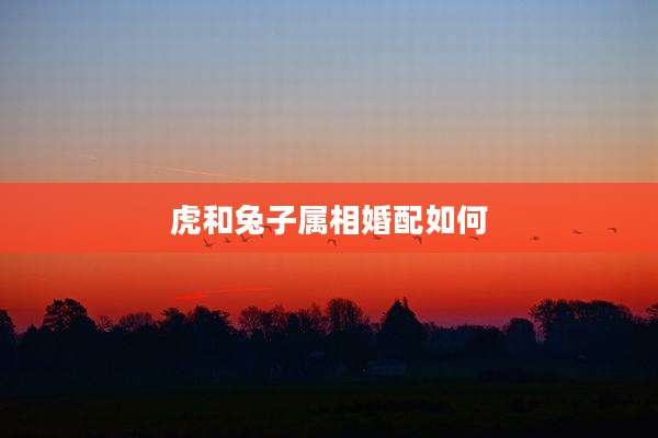虎和兔子属相婚配如何