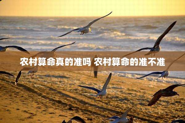 农村算命真的准吗 农村算命的准不准
