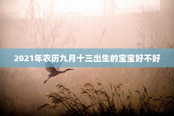 2021年农历九月十三出生的宝宝好不好
