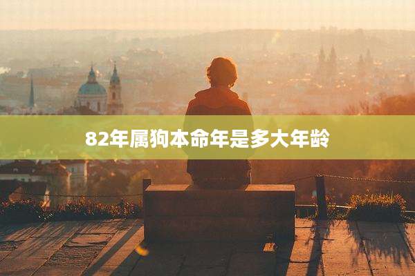 82年属狗本命年是多大年龄