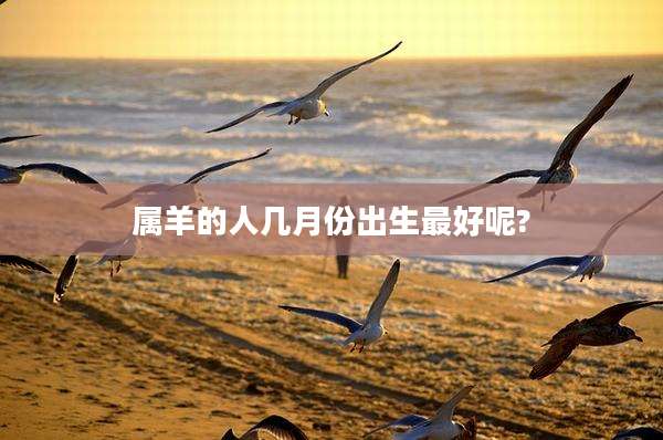 属羊的人几月份出生最好呢?