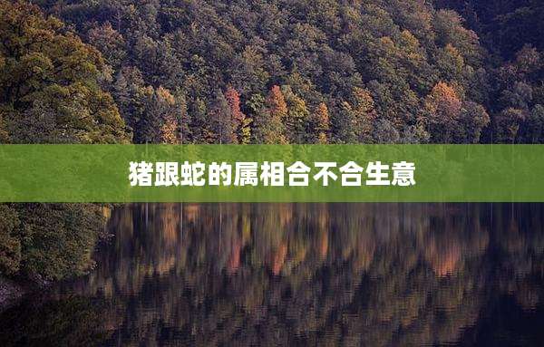 猪跟蛇的属相合不合生意