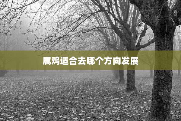 属鸡适合去哪个方向发展