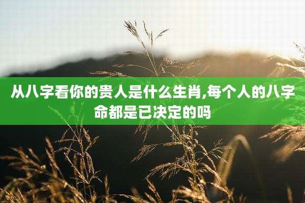 从八字看你的贵人是什么生肖,每个人的八字命都是已决定的吗