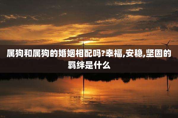属狗和属狗的婚姻相配吗?幸福,安稳,坚固的羁绊是什么