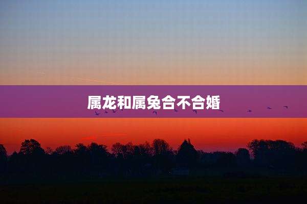 属龙和属兔合不合婚