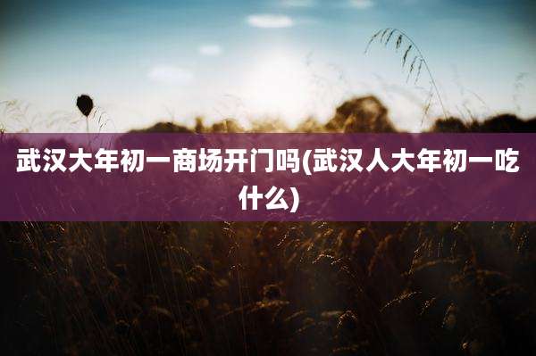武汉大年初一商场开门吗(武汉人大年初一吃什么)