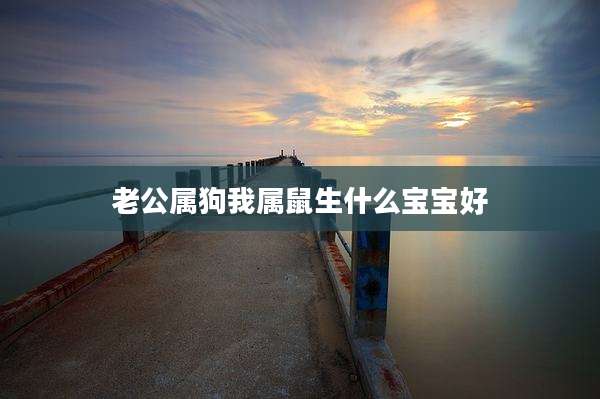 老公属狗我属鼠生什么宝宝好