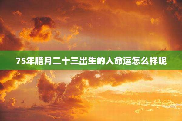 75年腊月二十三出生的人命运怎么样呢