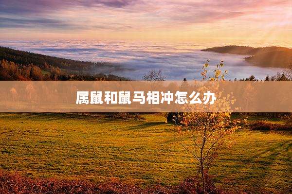 属鼠和鼠马相冲怎么办