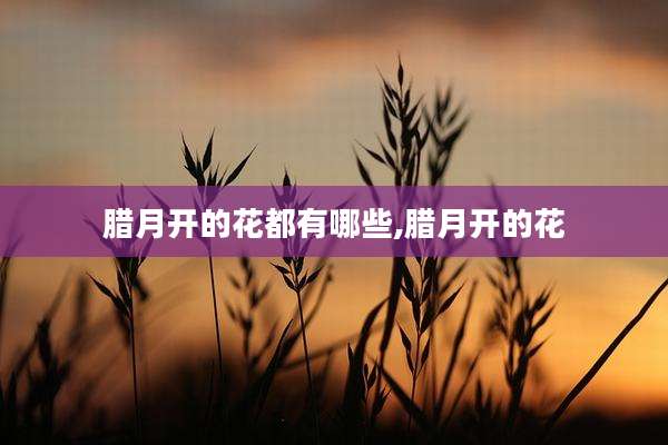 腊月开的花都有哪些,腊月开的花