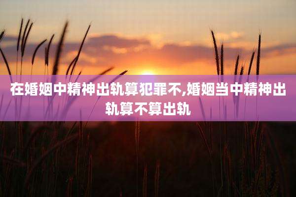 在婚姻中精神出轨算犯罪不,婚姻当中精神出轨算不算出轨