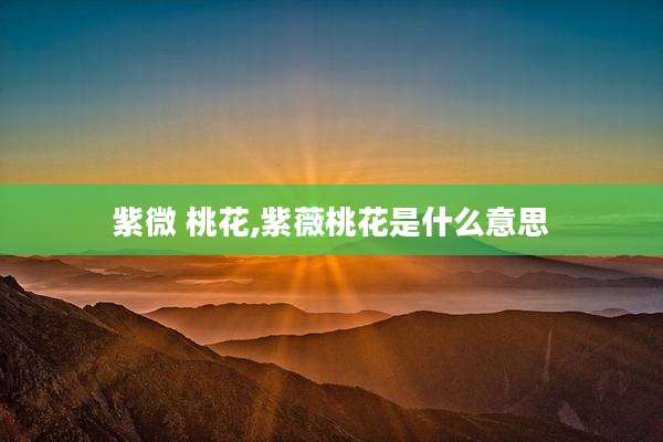 紫微 桃花,紫薇桃花是什么意思