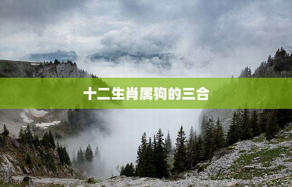 十二生肖属狗的三合