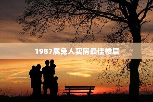 1987属兔人买房最佳楼层