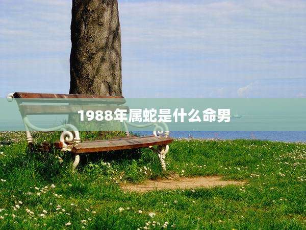 1988年属蛇是什么命男