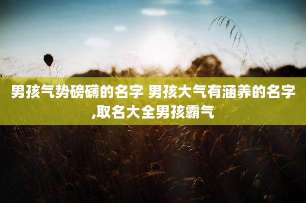 男孩气势磅礴的名字 男孩大气有涵养的名字,取名大全男孩霸气