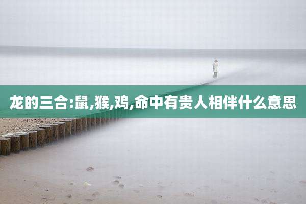 龙的三合:鼠,猴,鸡,命中有贵人相伴什么意思