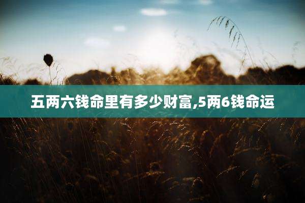 五两六钱命里有多少财富,5两6钱命运
