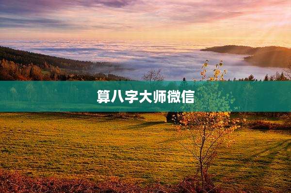 算八字大师微信