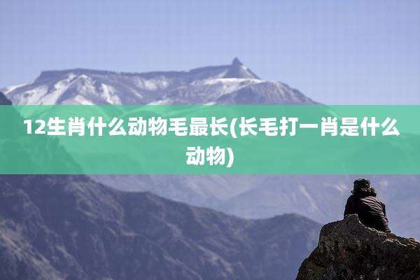 12生肖什么动物毛最长(长毛打一肖是什么动物)