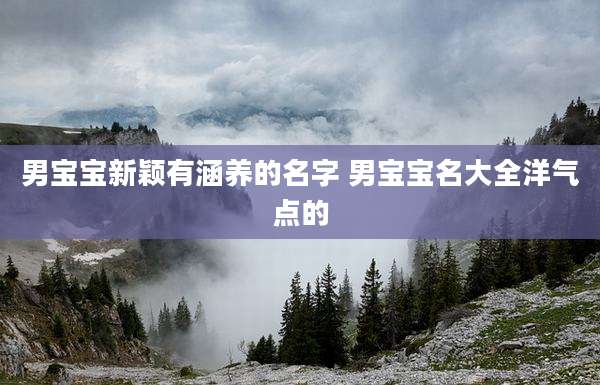 男宝宝新颖有涵养的名字 男宝宝名大全洋气点的