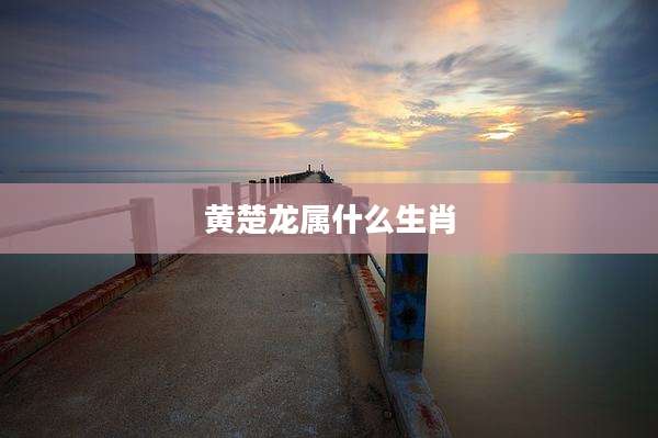 黄楚龙属什么生肖