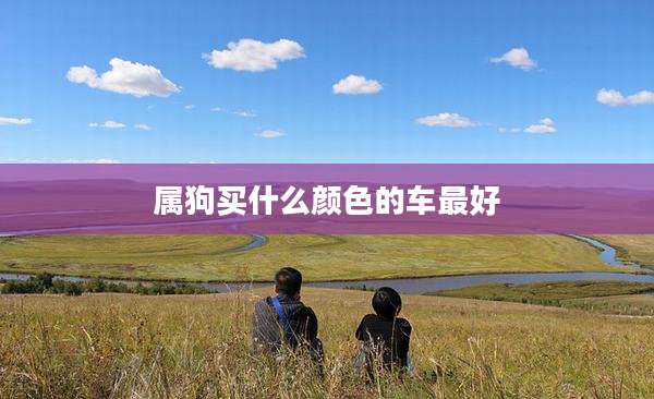 属狗买什么颜色的车最好
