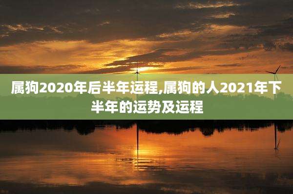 属狗2020年后半年运程,属狗的人2021年下半年的运势及运程