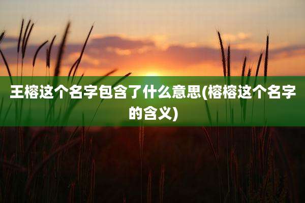 王榕这个名字包含了什么意思(榕榕这个名字的含义)