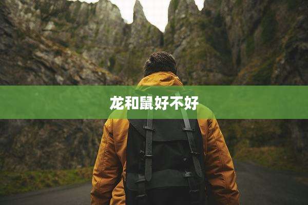 龙和鼠好不好